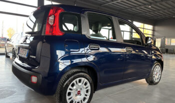 FIAT PANDA 1.0 HYBRID 21.000KM NEOPATENTATI pieno