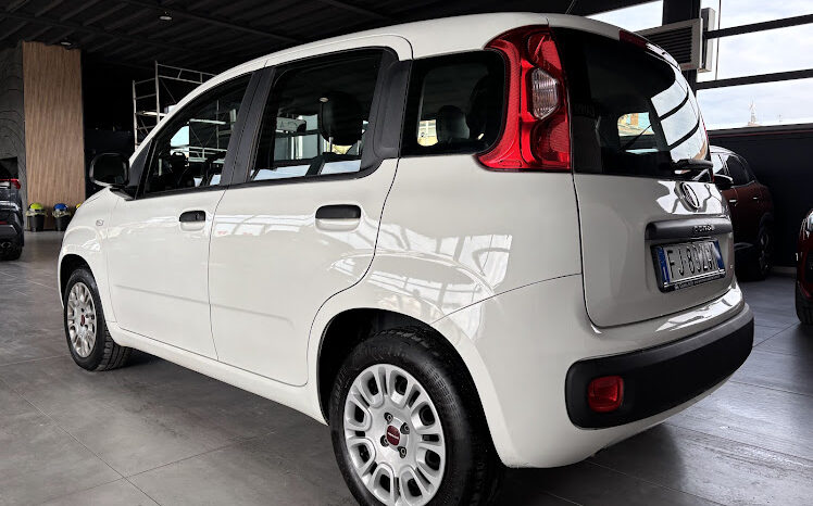 FIAT PANDA 1.2 69CV NEOPATENTATI 31.000KM pieno