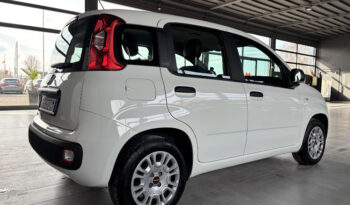 FIAT PANDA 1.2 69CV NEOPATENTATI 31.000KM pieno